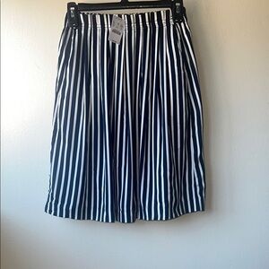J. Crew Women’s Blue and White Striped Midi Skirt Size 00